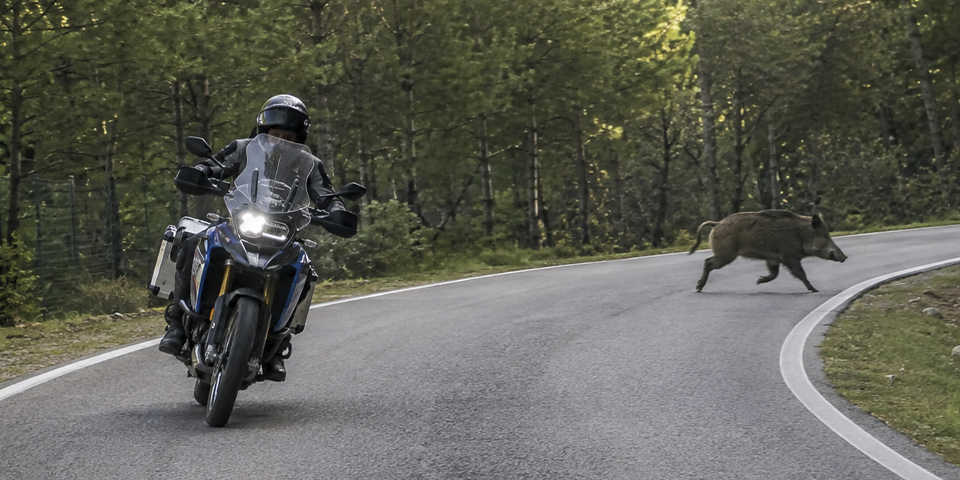 frenada de emergencia en moto y abs